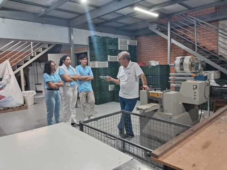 Atividades da turma Eagle's Team 2025